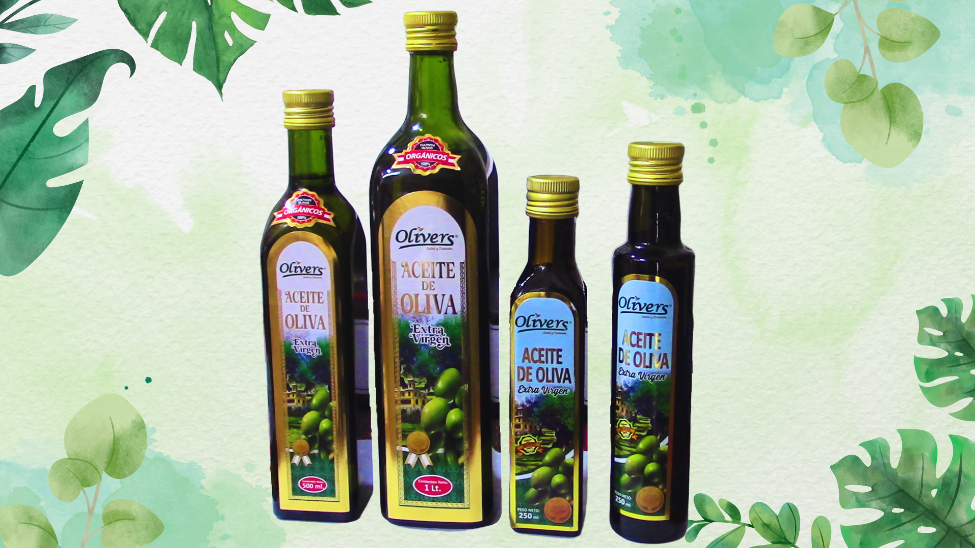 grupo de aceites